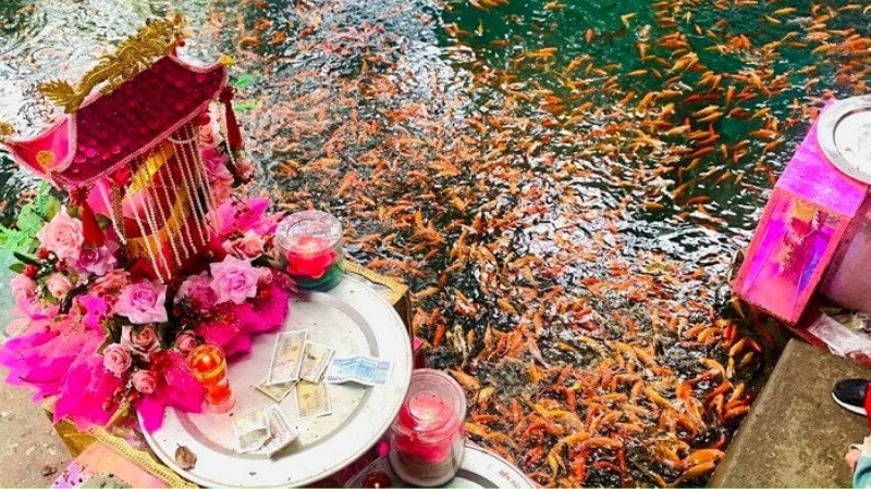 Ngày lễ chính cúng Cô Chín