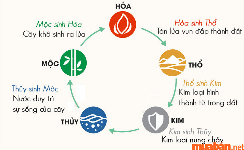 Ảnh hưởng ngũ hành đến tử vi 2003 nữ mạng năm 2024
