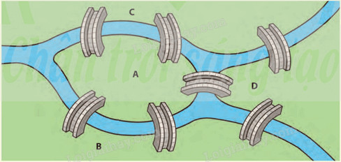 Bản đồ các cây cầu ở Königsberg, mô phỏng bài toán tối ưu đường đi của người đưa thư