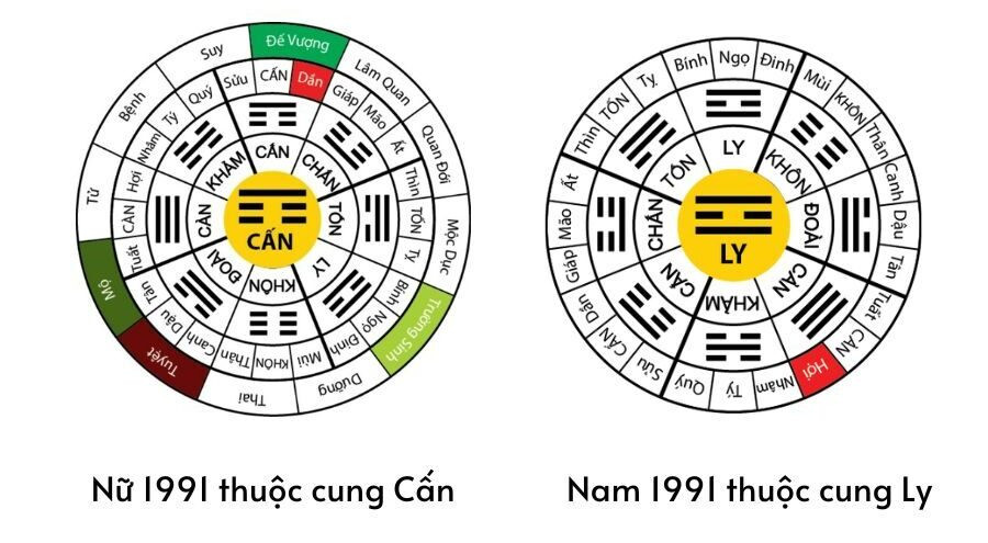 Bản đồ cung mệnh giúp xác định nữ 1991 cung mệnh gì, hỗ trợ đưa ra quyết định quan trọng