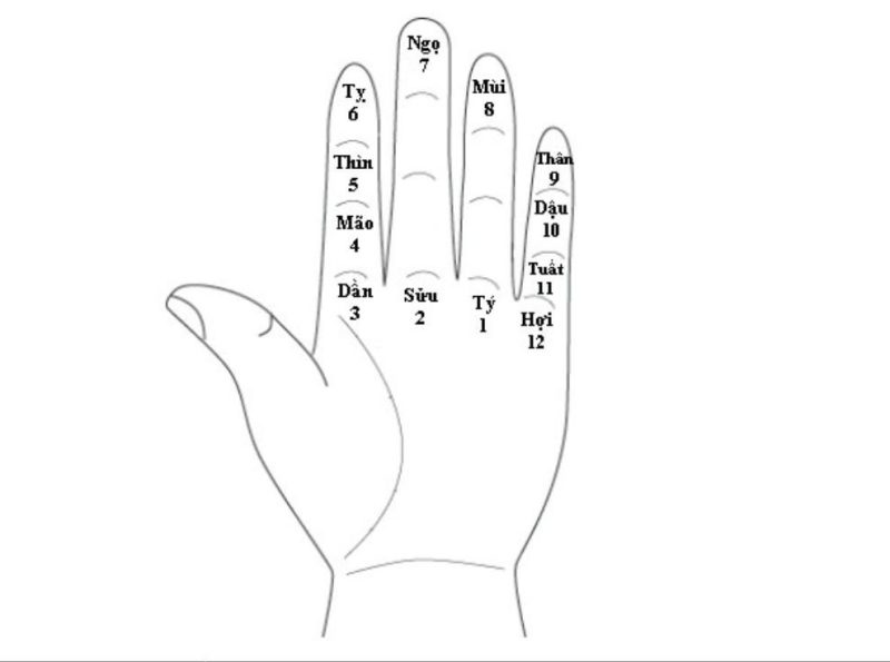 Bàn tay an lá số tử vi nhập môn, thể hiện 12 cung địa bàn cơ bản