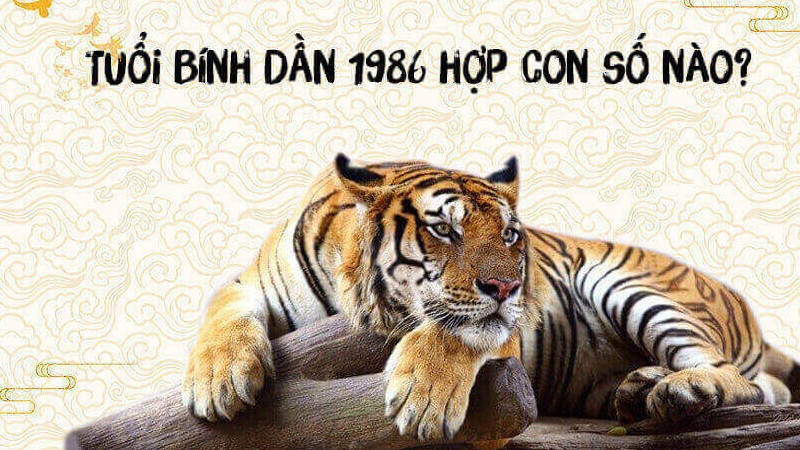 Bàn tay chỉ số may mắn cho người tuổi Bính Dần 1986