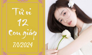 Bàn tay đang giữ một viên đá phong thủy hoặc bói toán