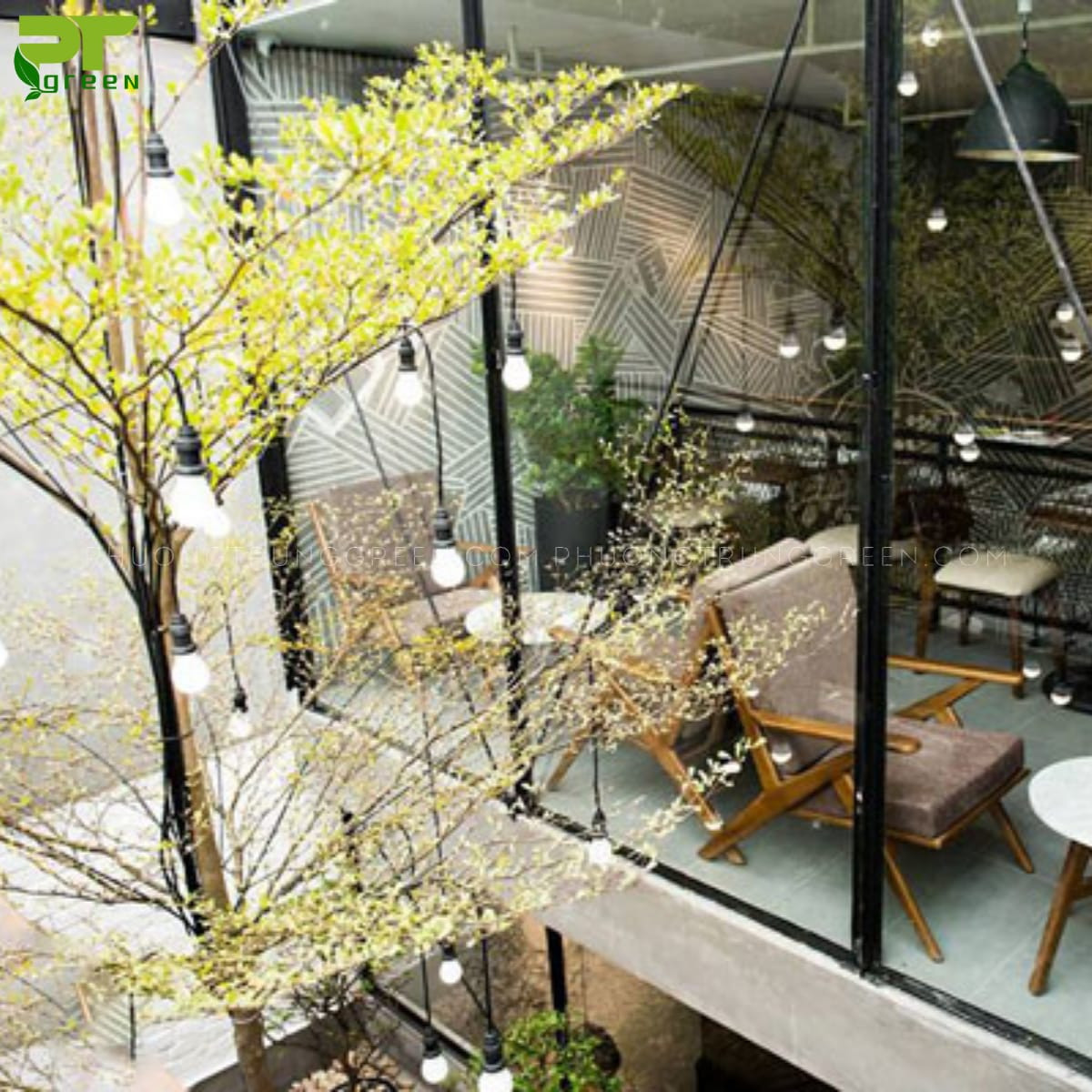 Bàng cẩm thạch làm duyên cho quán cafe