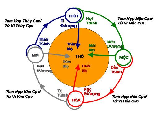 Bảng đồ 12 cung trên lá số Tử Vi minh họa mối tương quan ngũ hành