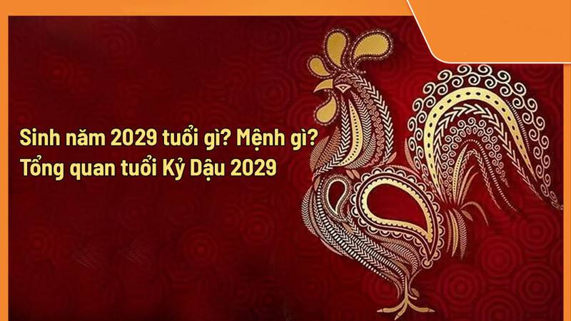 Bảng màu sắc hợp và kỵ theo phong thủy cho người sinh năm 2029 mệnh Đại Trạch Thổ.