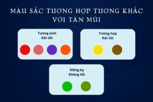 Bảng màu sắc phong thủy tương sinh, tương khắc phù hợp với nữ 1991 cung mệnh gì