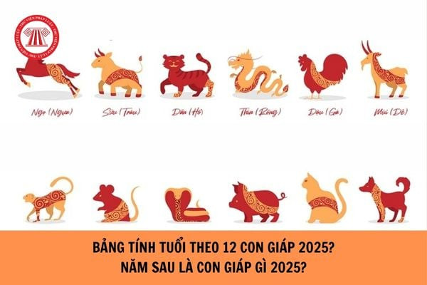 Bảng tính tuổi theo 12 con giáp, giúp xác định năm sau là tuổi con gì
