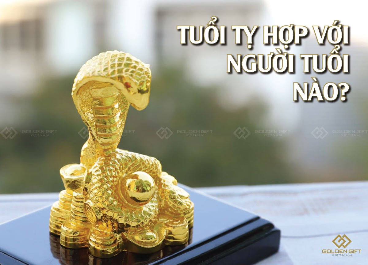 Bảng tương hợp ngũ hành cho người tuổi Rắn trong công việc và cuộc sống