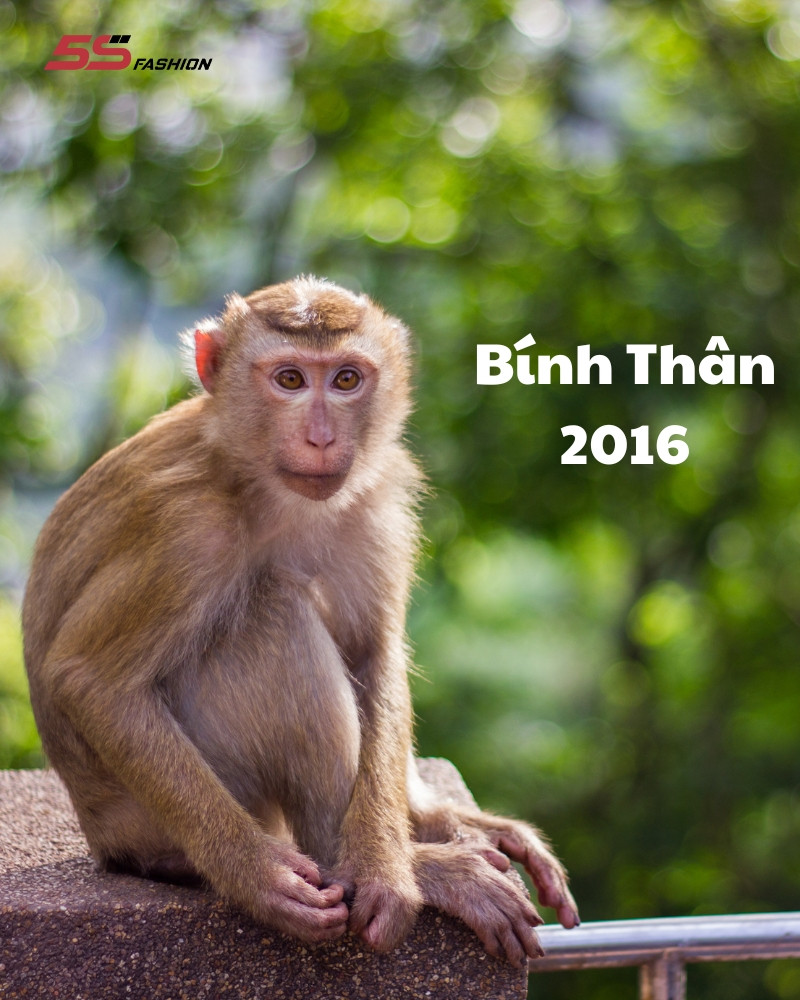 Bé trai Bính Thân 2016 cầm bảng chữ tuổi