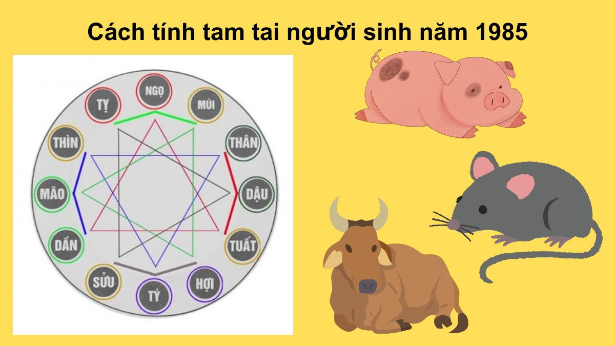 Biểu đồ các năm hạn Tam Tai Hợi Tý Sửu mà người nữ sinh năm 1985 cần lưu ý để hóa giải.