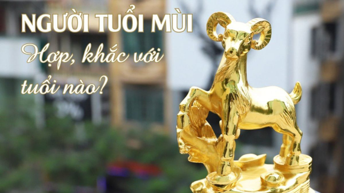 Biểu đồ các tuổi hợp và kỵ giúp nam 1991 chọn đối tác kinh doanh, hôn nhân