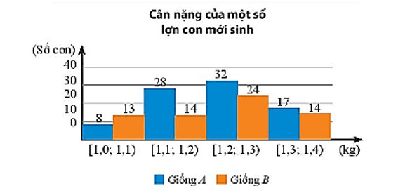 Biểu đồ so sánh cân nặng lợn con mới sinh của giống A và giống B