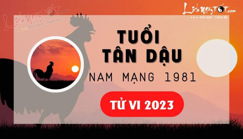 Biểu đồ tổng quan tử vi tuổi Tân Dậu 1981 nam mạng năm 2023