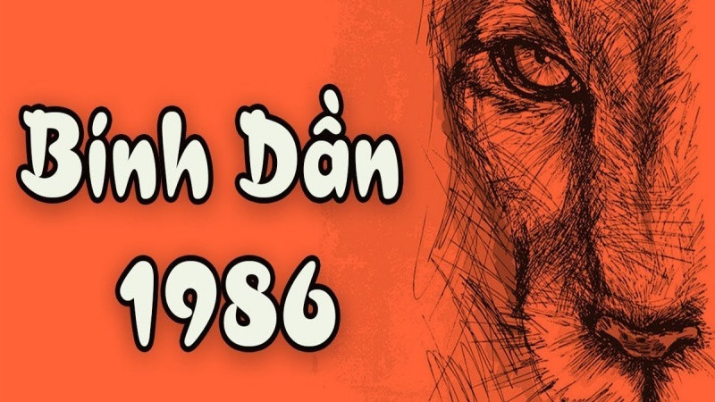 Biểu đồ tương hợp tuổi trong kinh doanh và hôn nhân cho 86 là mệnh gì