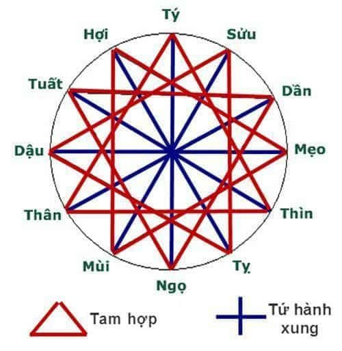 Biểu đồ tương sinh ngũ hành, minh họa mối liên kết trong tử vi gia đình qua các con giáp.