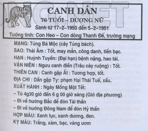 Biểu đồ vận trình tử vi tuổi Canh Dần nữ mạng năm 2025