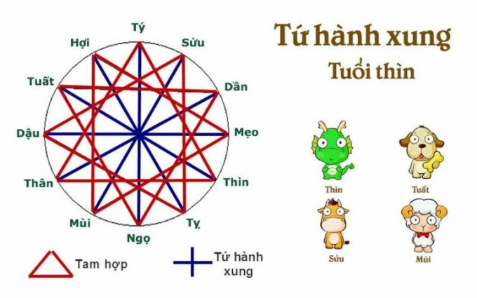Biểu đồ vòng Tam Tai và cách tính hạn Tam Tai cho tuổi Mậu Thìn 1988.