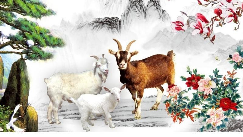 Biểu tượng con số may mắn của người sinh năm Quý Mùi