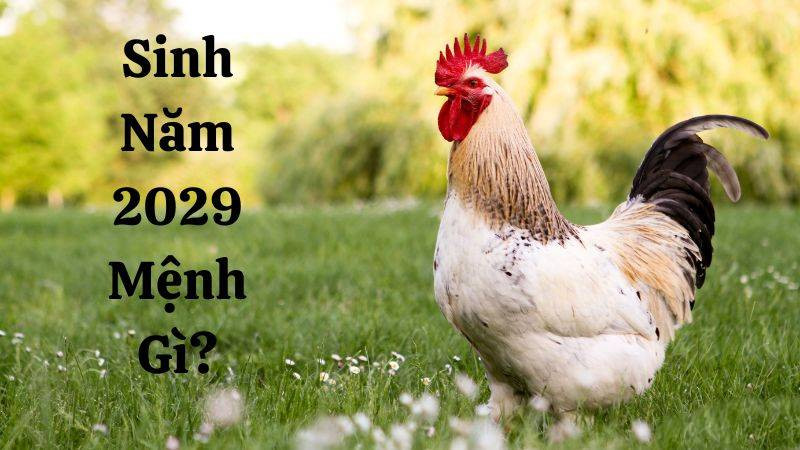 Biểu tượng cung mệnh cho người sinh năm 2029