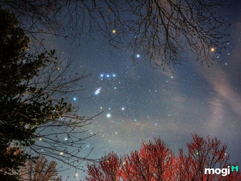 Biểu tượng uy quyền, liên quan đến sao Phan Ấn trong tướng tinh
