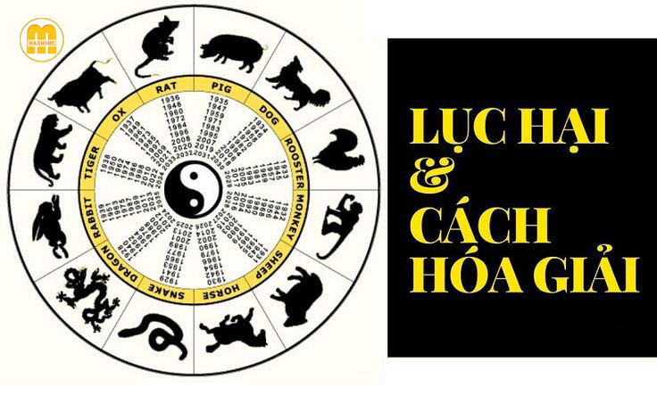 Các cặp con giáp tương hại và ảnh hưởng của lục hại trong tử vi