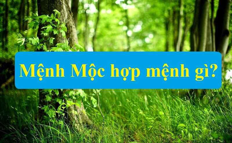 Các hành tương sinh và tương hợp với mệnh Dương Liễu Mộc