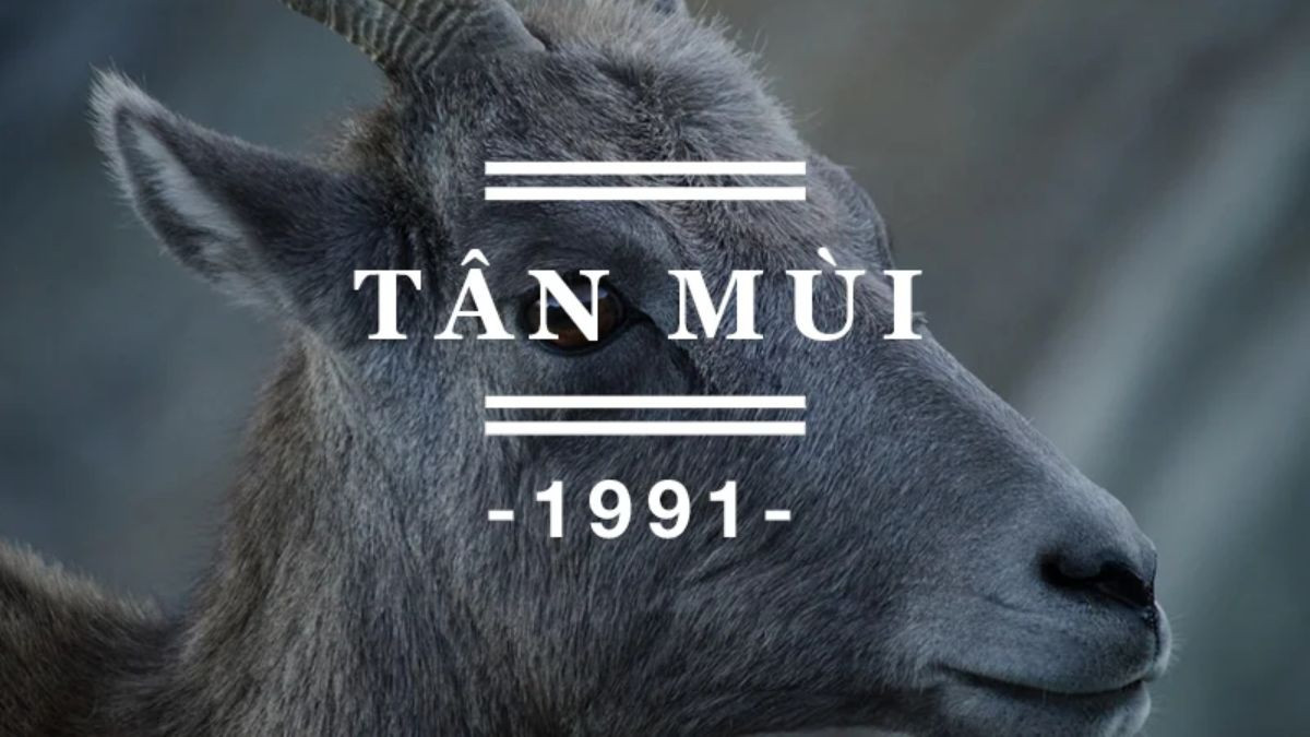 Các loại cây phong thủy mang lại may mắn cho người sinh năm 1991 mệnh Thổ