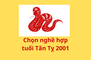 Các ngành nghề phù hợp với người sinh năm 2001 là mệnh gì