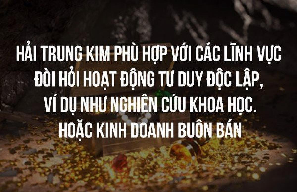 Các ngành nghề và lĩnh vực sự nghiệp lý tưởng cho người mệnh Hải Trung Kim