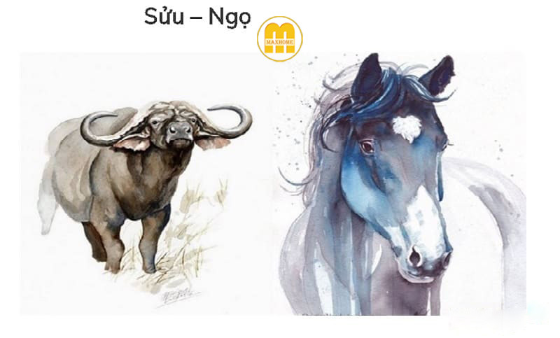 Cách hóa giải lục hại trong tử vi giữa tuổi Sửu và Ngọ