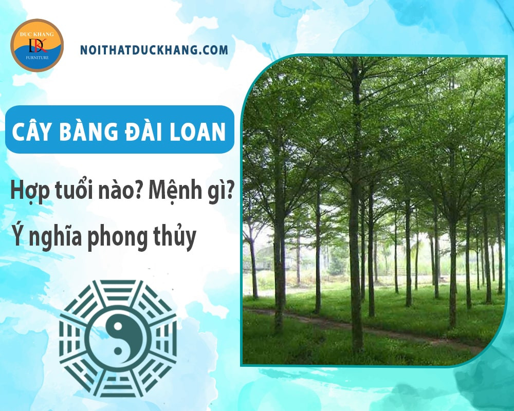 Cách phòng trừ sâu bệnh thường gặp ở cây bàng Đài Loan