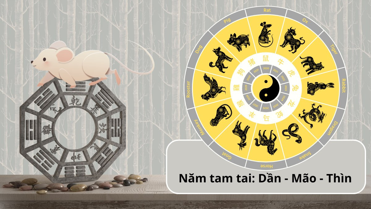 Cách tính tam tai cho người tuổi Giáp Tý 1984