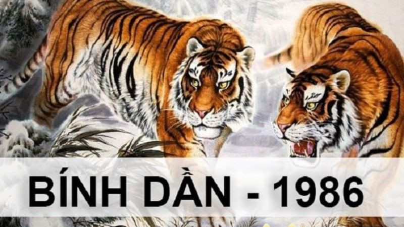 Cách tính và hóa giải Tam Tai cho tuổi Bính Dần 1986