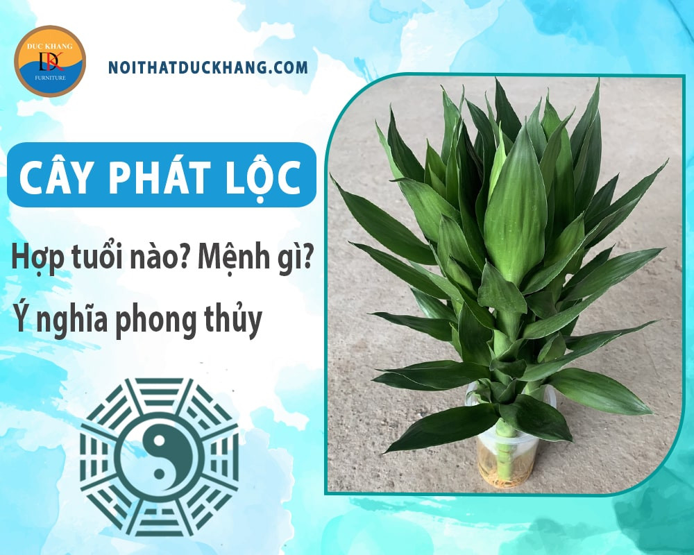 Cách trồng cây phát lộc thủy sinh