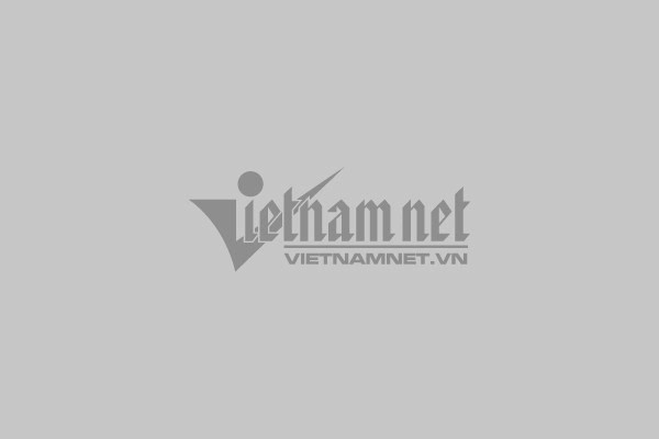 Cây bạch mã hoàng tử xanh tốt giúp thanh lọc không khí