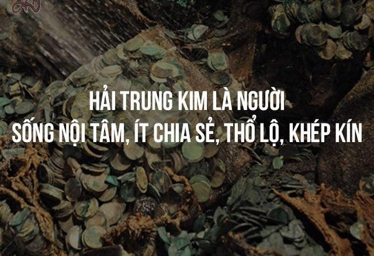 Chân dung và tính cách của người thuộc mệnh Hải Trung Kim