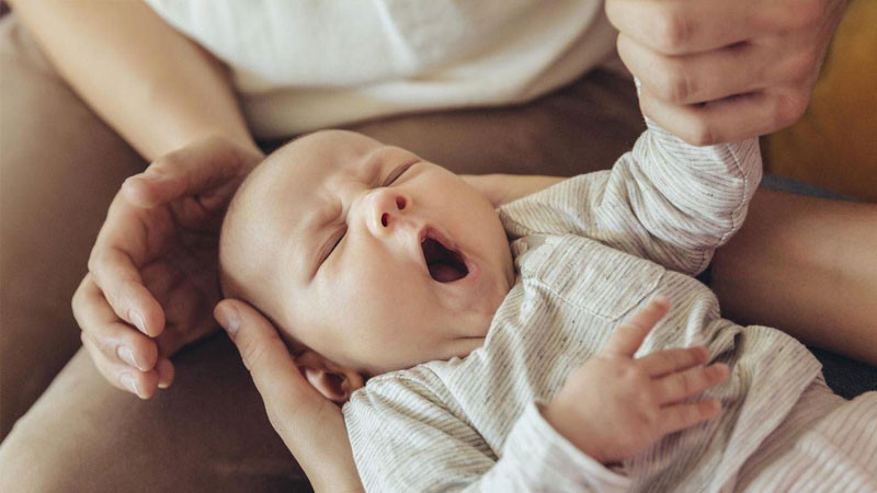 Chọn các chữ thuộc bộ chữ Quân, Đại làm gốc
