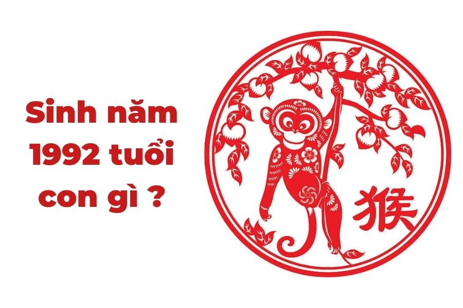 Con giáp Tý Thân Thìn trong phong thủy cho người sinh năm Thân 1992 mệnh gì