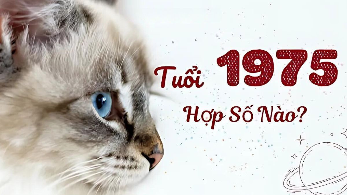 Con số may mắn của Ất Mão sinh năm 1975
