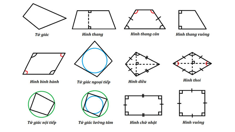 Công thức tính chu vi hình bình hành và các loại tứ giác đặc biệt khác
