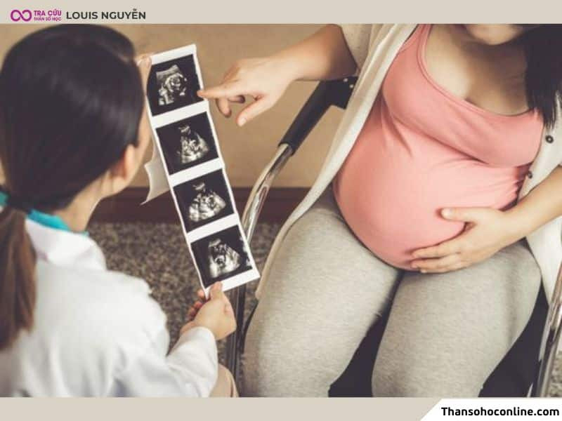 Công việc phù hợp với người có đất thai ở cung Quan Lộc