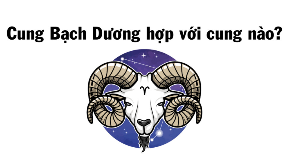 Cung Bạch Dương hợp với cung Sư Tử trong công việc