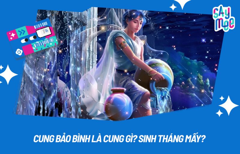 Cung Bảo Bình tổng quan
