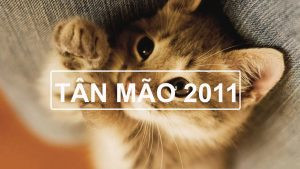 Cung mệnh cho nam và nữ sinh năm 2011 là mệnh gì
