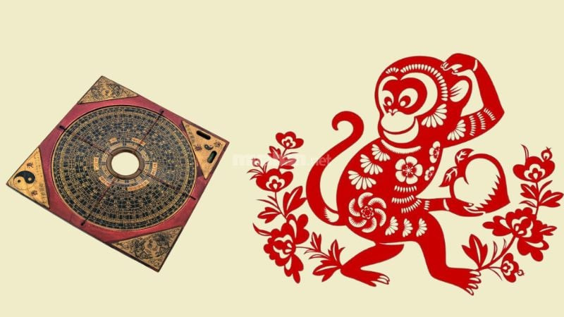Cung phi của tử vi tuổi Thân 1956 và ý nghĩa