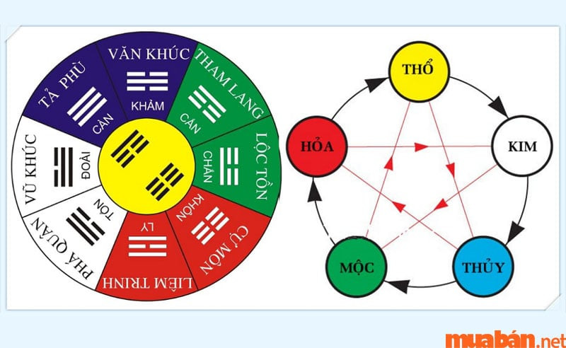 Cung phi nữ Quý Mùi 2023 và vận trình năm 2024