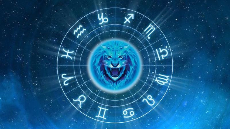 Cung Sư Tử thường được cho là khắc hoặc không hợp với cung Nhân Mã và cung Song Ngư