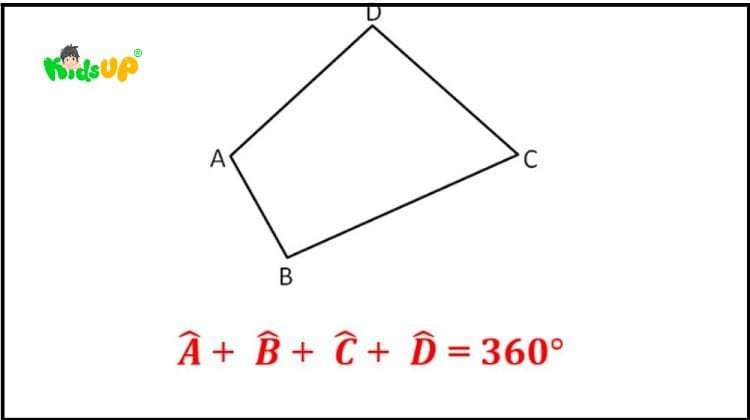 Đặc điểm cơ bản của hình tứ giác