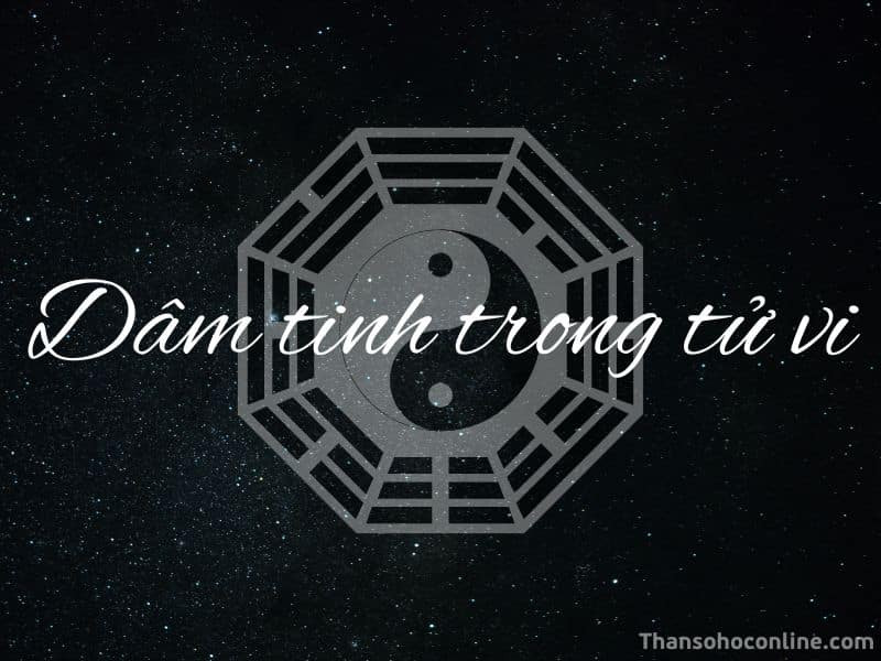 Dâm tinh trong tử vi là những sao xấu trong tử vi chỉ sự ham muốn, tham dục, lăng loàn và sa đọa về mặt tình dục